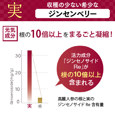 【値段そのまま90粒増量】高麗人参(30粒)×18 6/2まで！ image number 5